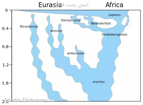 انسان راست قامت